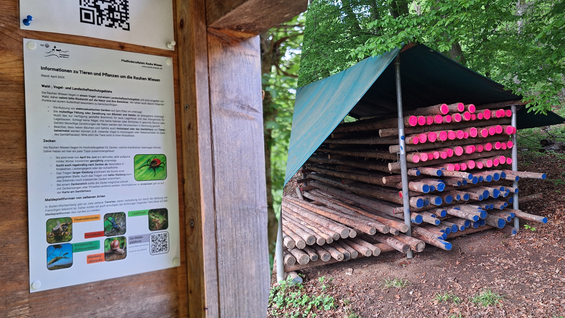 Neue Stangen und Informationstafel zur Natur